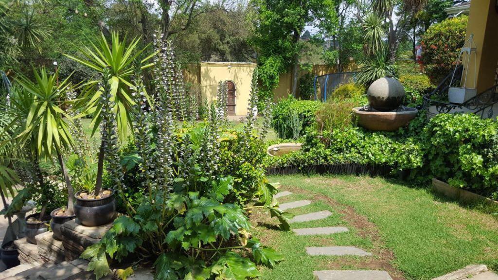 Villa Mikamora Johannesburg Luaran gambar